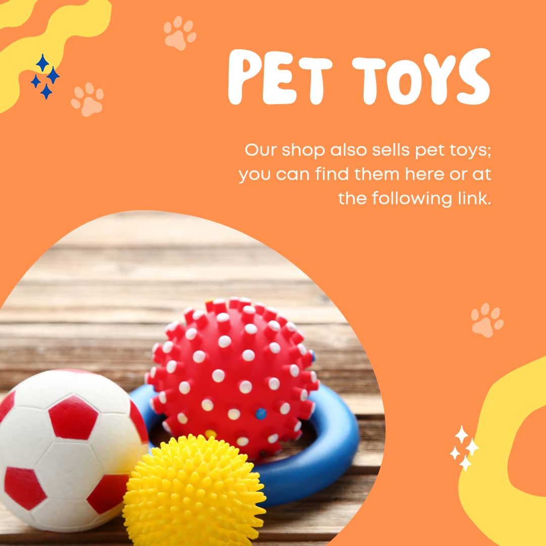 Pawsome Toy Picks