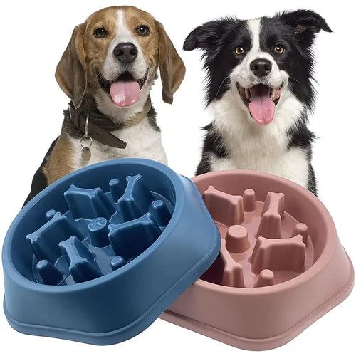 Pawsome Feeders & Bottles